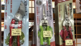 芽切り、摘果、剪定ばさみあります！工具専門店　スマイルサンタ松本店✨